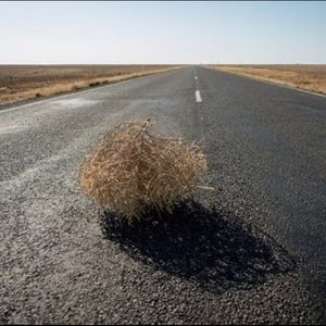 Meet your Posher, Audrey